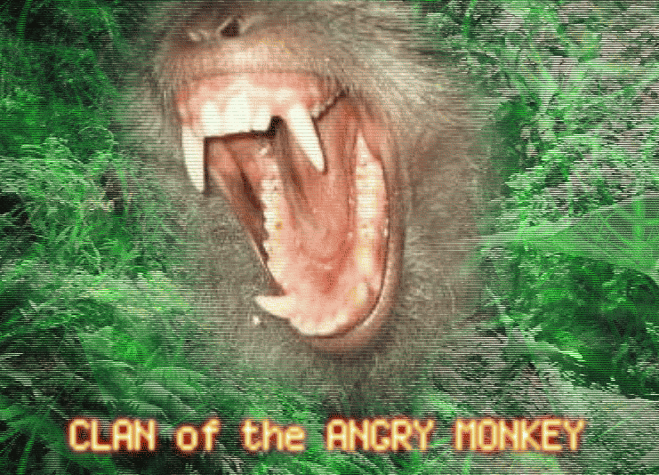 CLAN of the ANGRY MONKEY